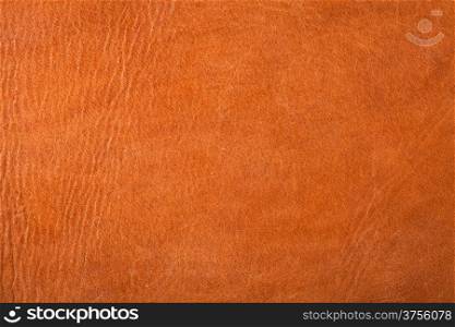 Brown leather texture for background. Close up, top view