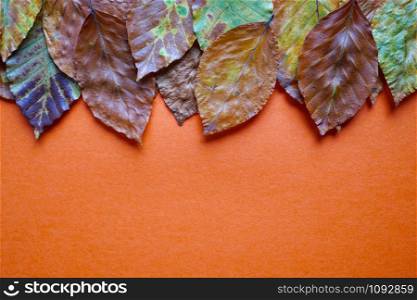 brown leaves with autumn colors on the orange background, autumn season