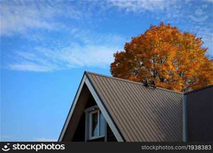 Brown metalic roof house under the autmn tree against blue sky .. Brown metalic roof house under the autmn tree against blue sky