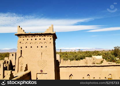 brown old construction in africa morocco and red leather near the tower