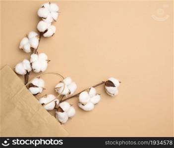 brown paper bag and a branch with cotton flowers on a light brown background, zero waste, top view