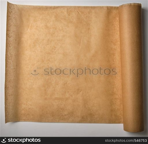 brown parchment baking paper wound into a large roll, top view