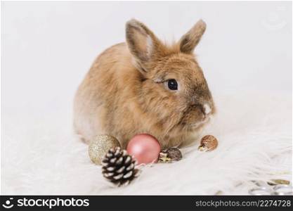 brown rabbit with shiny baubles