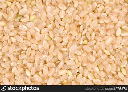 brown rice as background, main food of chinese