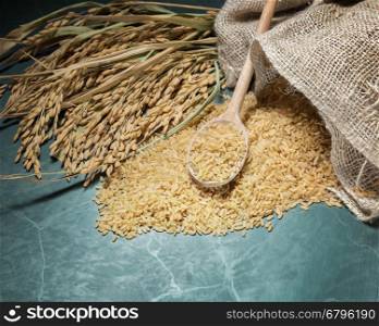 Brown rice uncooked in a bag with a pile of brown rice with over a full spoonful of rice and spike rice on table background.