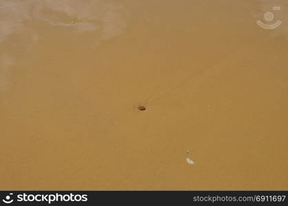brown sand surface background with copy space. brown sand surface useful as a background with copy space