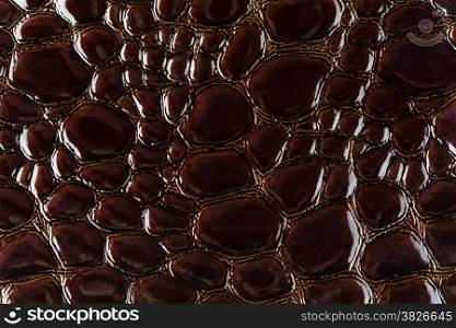 Brown snake skin detailed texture background.