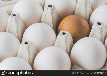 brown white eggs rack