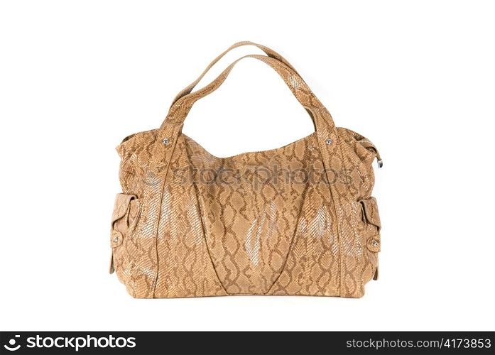 brown women bag, fashion of 2011 year isolated on white background