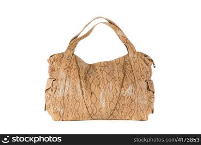 brown women bag, fashion of 2011 year isolated on white background