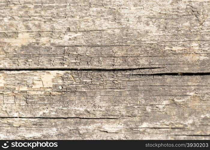 Brown wood texture. Abstract background, empty template