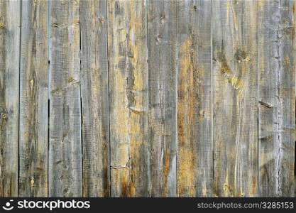 brown wood texture natural pattern