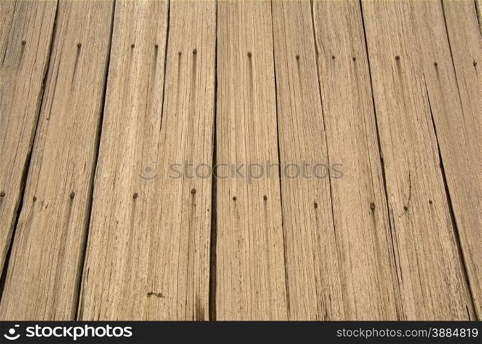 Brown wood texture with knots in it