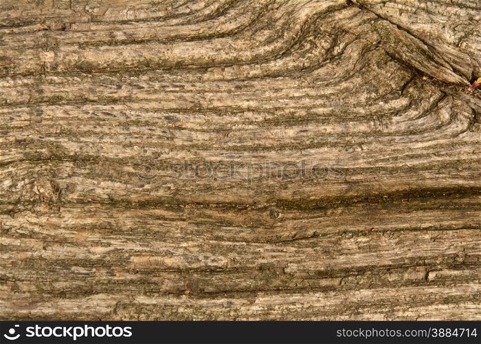 Brown wood texture with knots in it . Wooden background