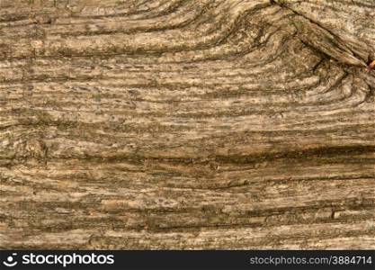Brown wood texture with knots in it . Wooden background