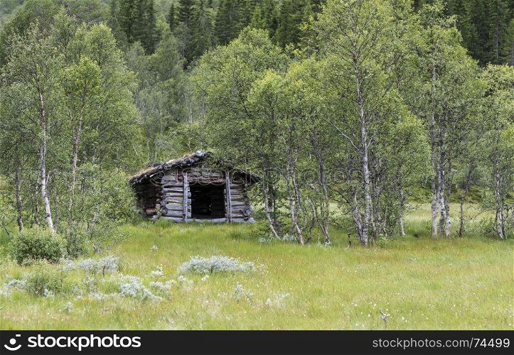 brown wooden hut as shelter in green forest in norway. brown wooden hut in green forest