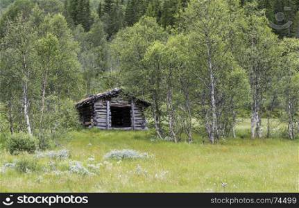 brown wooden hut as shelter in green forest in norway. brown wooden hut in green forest