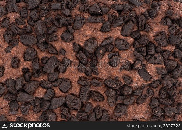 Brownie chocolate cake background with cookies chips topping.