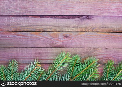 brunch of christmas tree on the wooden background