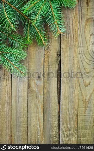 brunch of christmas tree on the wooden background