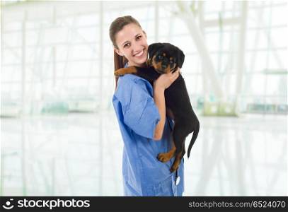 Brunette veterinary with a rottweiler puppy dog. veterinary