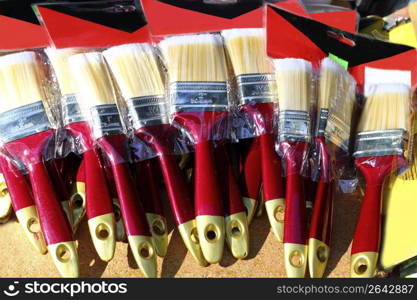 brushes for wall paint blister in bargain market