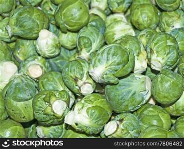 Brussels sprouts at a farmer market. Brussels sprouts
