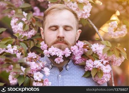 brutal bearded man in the flowering cherry trees. Handsome smiling bearded man outdoors. Spring day. Spring pink sakura blossom. Male spring fashion. Bearded stylish man. Happy guy in pink flowers.. brutal bearded man in the flowering cherry trees. Handsome smiling bearded man outdoors. Spring day. Spring pink sakura blossom. Male spring fashion. Bearded stylish man. Happy guy in pink flowers
