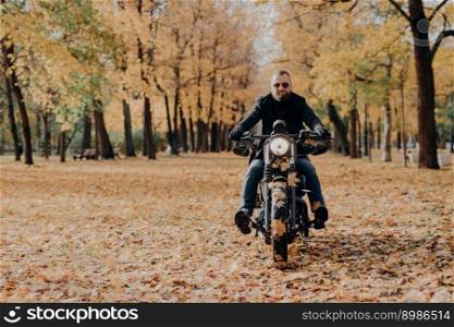 Brutal professional male motorcyclist rides bike, wears sunglasses, gloves and black jacket, has ride through autumnal park, beautiful scenery in background with yellow trees and fallen leaves around