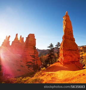 Bryce Canyon