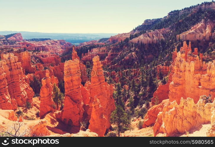 Bryce Canyon