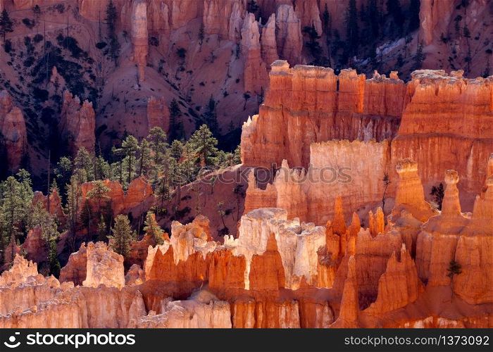 Bryce Canyon Glowing in the Early Morning Sunshine