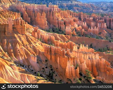 Bryce Canyon Hoodoos