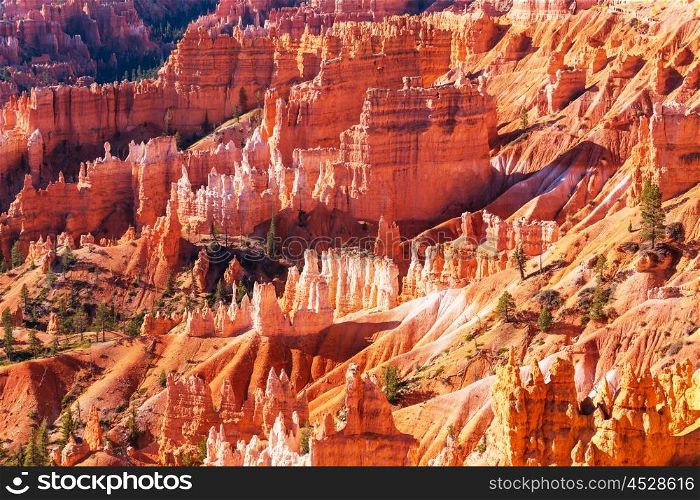 Bryce Canyon in Utah, USA