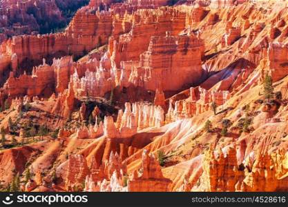 Bryce Canyon in Utah, USA
