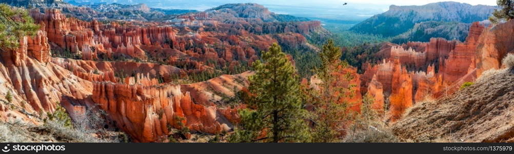 Bryce Canyon Panorama