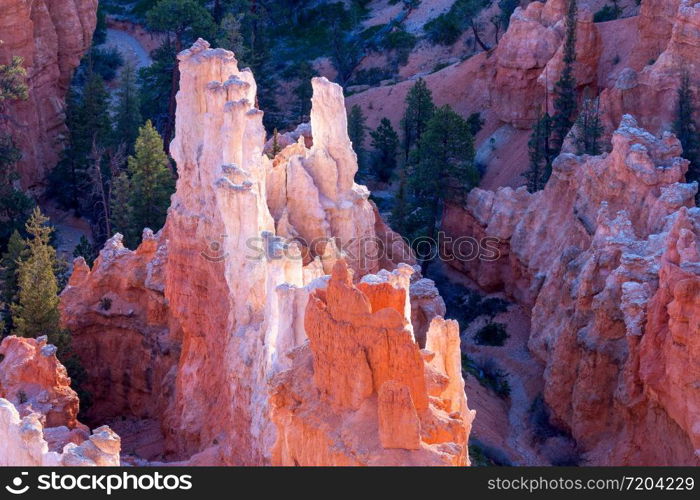 Bryce Canyon Sculpted by the Elements