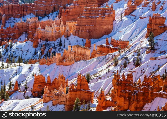 Bryce canyon with snow in winter season.