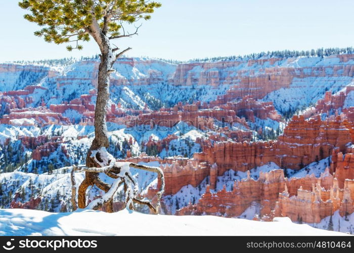 Bryce canyon with snow in winter season.