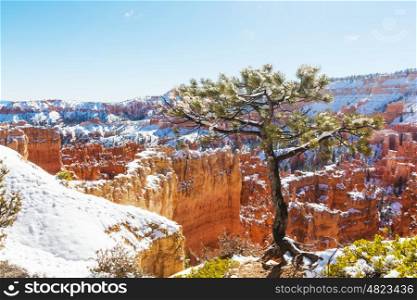 Bryce canyon with snow in winter season.
