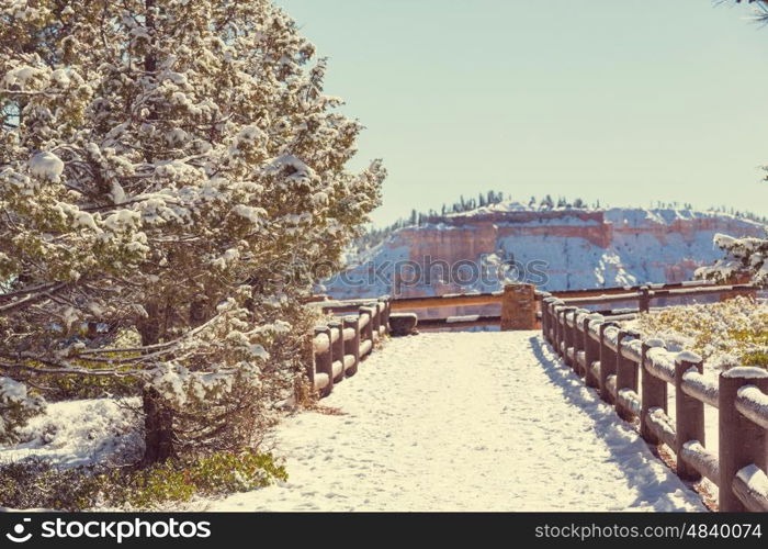 Bryce canyon with snow in winter season.