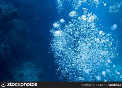 Bubbles formation by jellyfish underwater, Tarpon Cayes, Belize Barrier Reef, Lighthouse Reef, Belize