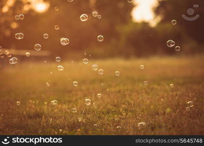 Bubbles in the park outdoor on the sunset