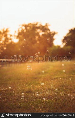 Bubbles in the park outdoor on the sunset