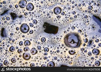 Bubbles of dung in a creek