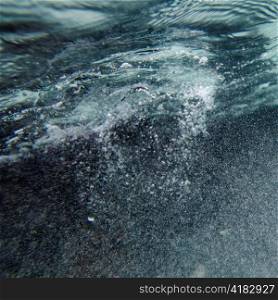 Bubbles underwater, Puerto Egas, Santiago Island, Galapagos Islands, Ecuador