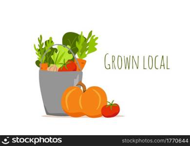 Bucket metal vegetables colorful cartoon vector illustration. Vegetarian nutrition market concept: onion pumpkin tomato carrot salad and other product. Organic healthy food harvest delivery package. Eat local organic products cartoon vector concept. Colorful illustration of happy farmer