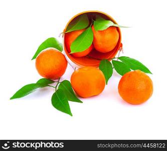 Bucket of fresh mandarins fall down in the studio, fresh green leaves, tasty sweet juicy fruits, exotic tangerine, vitamin eating concept