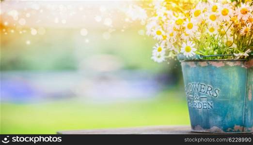 Bucket with wild daisies over summer or spring beautiful garden . Garden decor