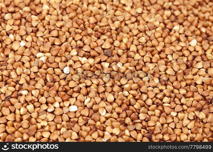 Buckwheat background
